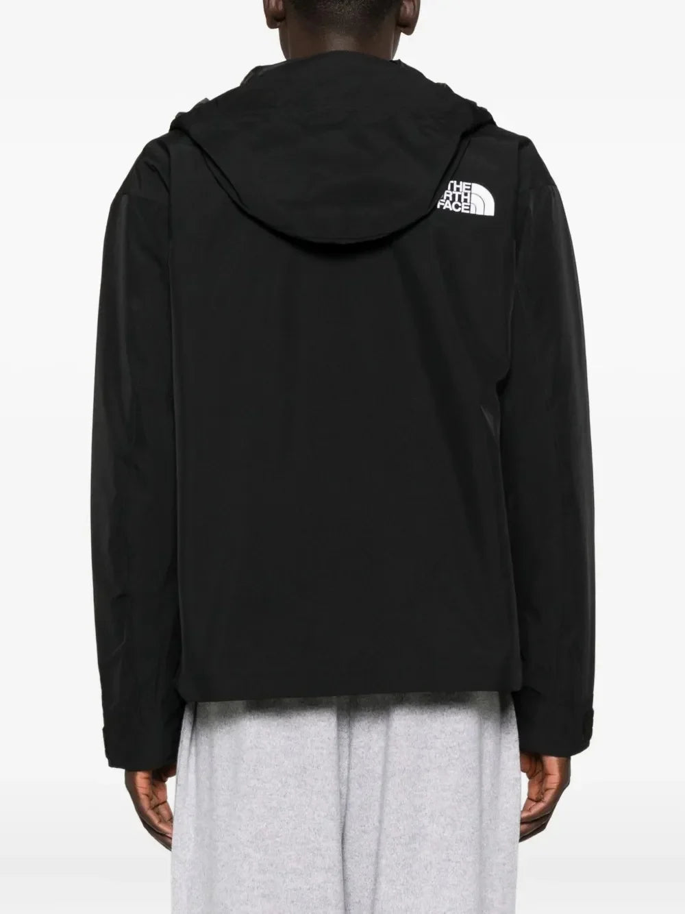 The North Face Men's GTX Mountain Jacket