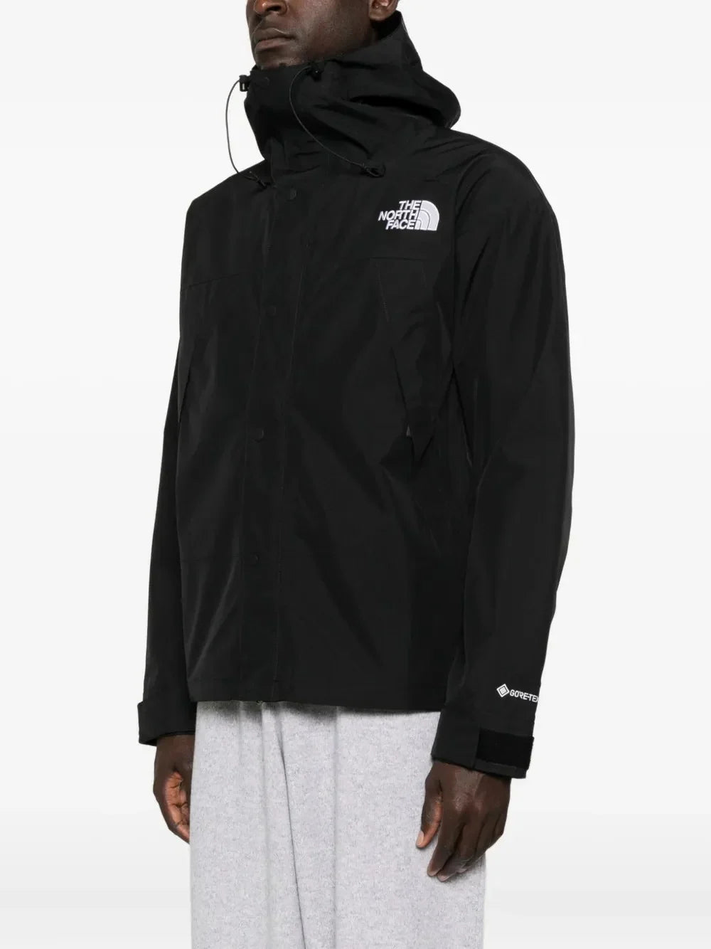 The North Face Men's GTX Mountain Jacket