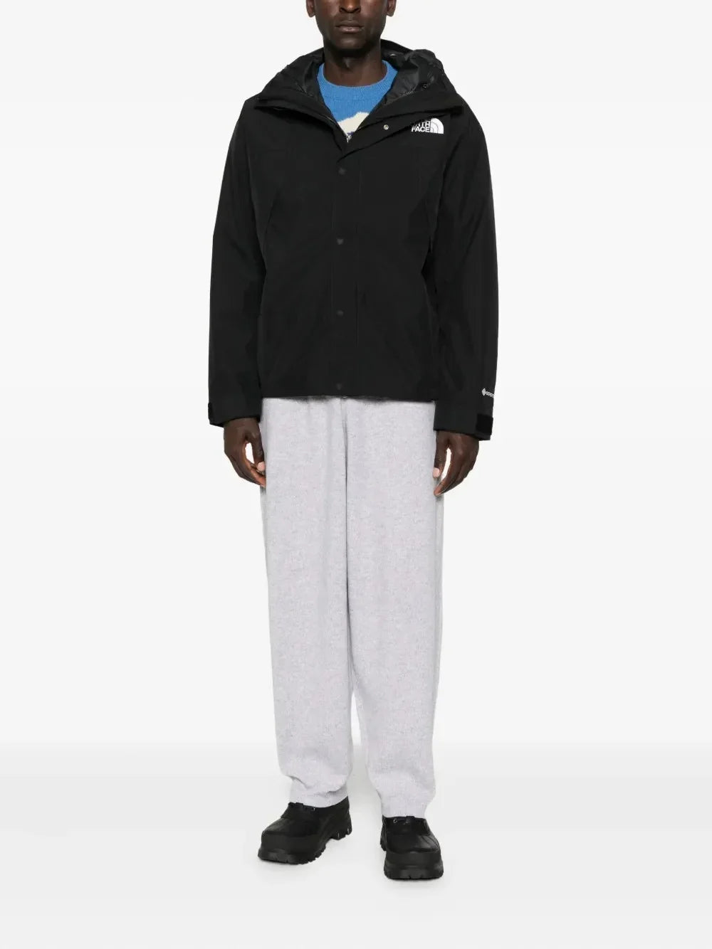 The North Face Men's GTX Mountain Jacket